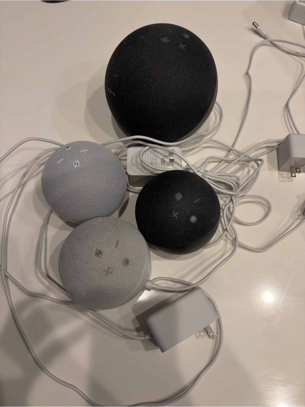 Bundle 5 alexa speakers